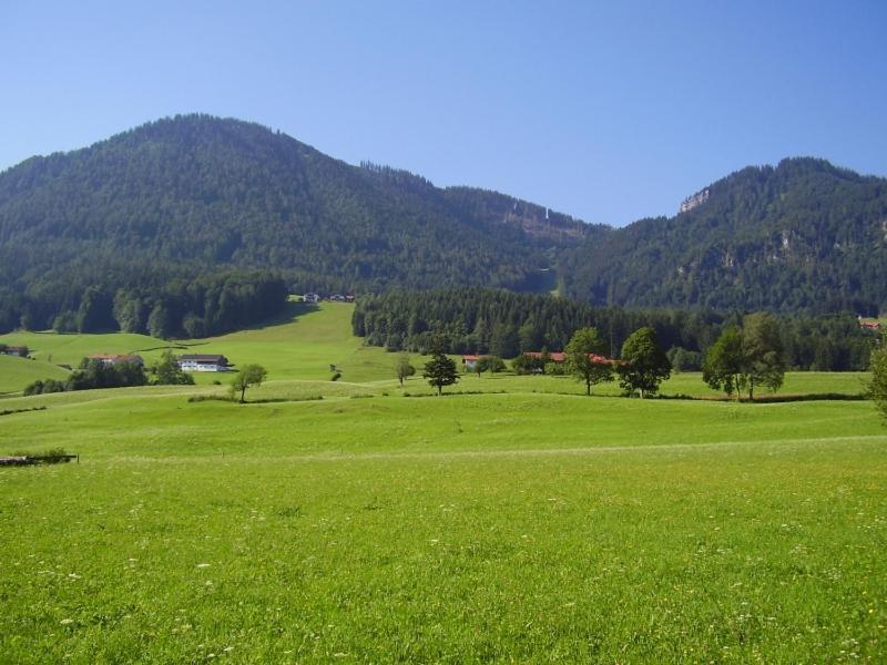 Ferienwohnungen Hollweger Inkl. Chiemgaukarte โรพอลดิง ภายนอก รูปภาพ