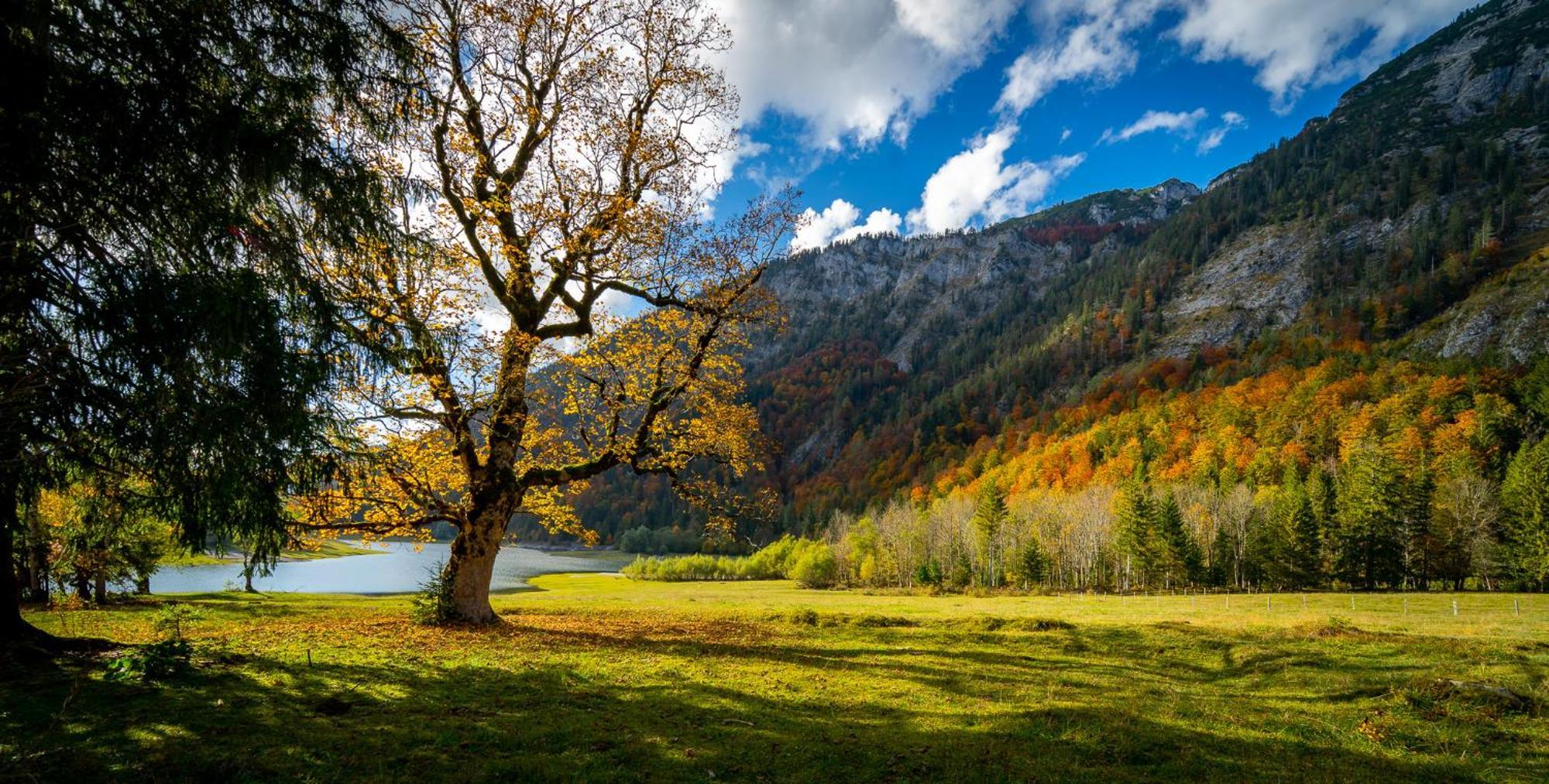 Ferienwohnungen Hollweger Inkl. Chiemgaukarte โรพอลดิง ภายนอก รูปภาพ