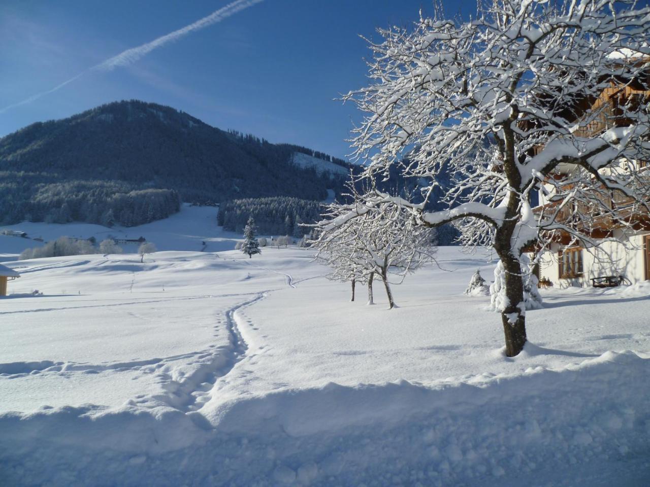 Ferienwohnungen Hollweger Inkl. Chiemgaukarte โรพอลดิง ภายนอก รูปภาพ